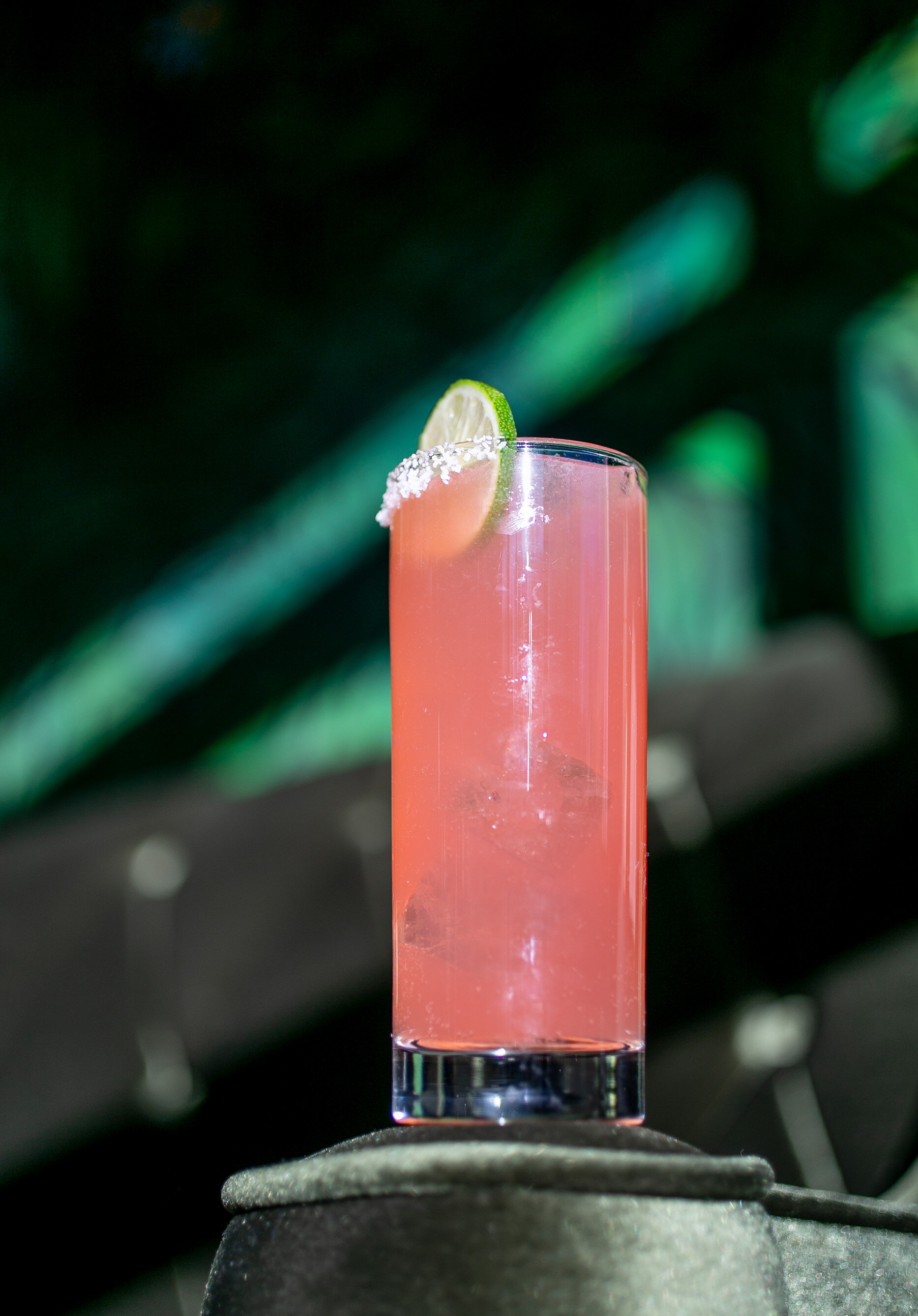 Day Man_ Photo Credit Lilli Gonzalez_ 12.6.2018-2.jpg